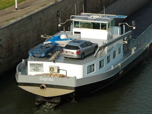 cupido6003903