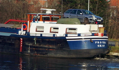 px_koppelverband_Protea_roef