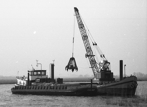 mbs_kraanvogel_eni_02100522