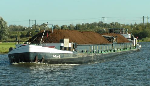 mvs maik