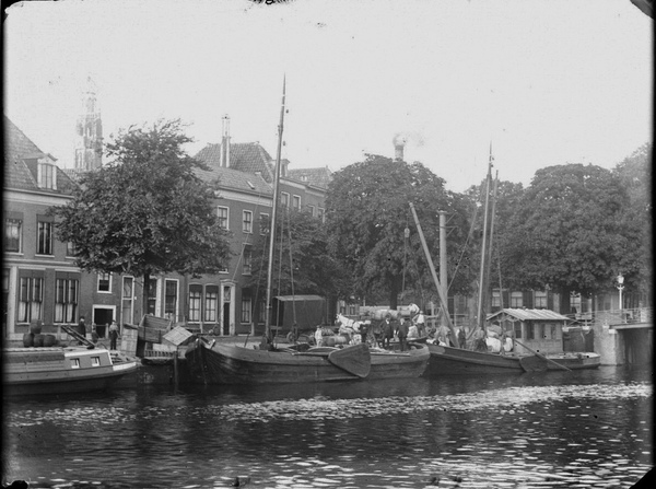 spaarne